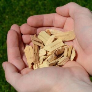 Wood chips cupped in someone's hand